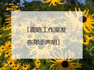 鹿晗工作室发布郑重声明